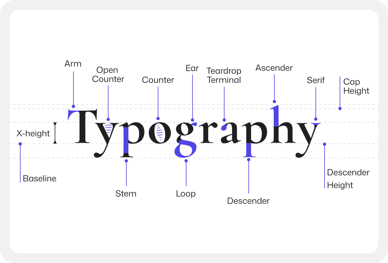 Type anatomy banner showcasing every part of a typography